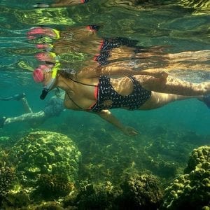 Kayak And Snorkel Flamingo Beach