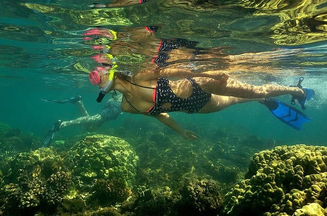 Kayak And Snorkel Flamingo Beach