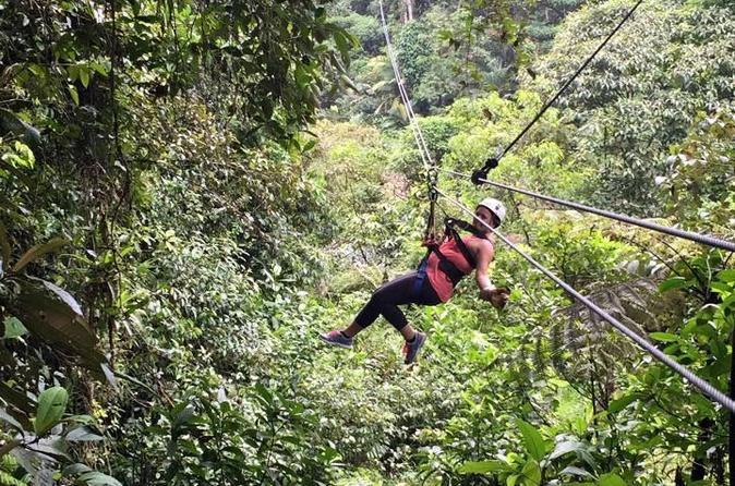 6-in-1 Tour: Rainforest Adventures Costa Rica - Image 9