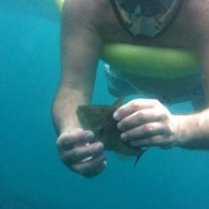 Guanacaste Snorkel And Sunset Cruise