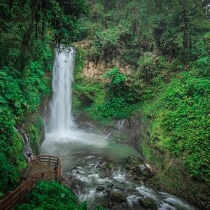 La Paz Waterfall Garden San José