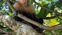 Manuel Antonio National Park