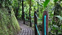 Mistico Hanging Bridges Park La Fortuna