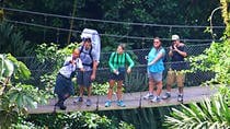 Mistico Park Hanging Bridges Guided Tour