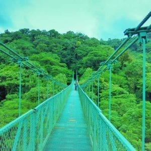Monteverde Cloud Forest And Hanging Bridges Guanacaste