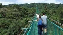 Monteverde Sky Walk And Coffee Tour