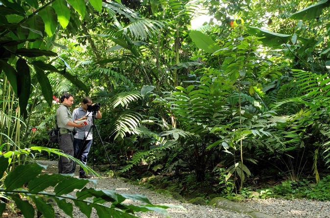 Nature Walk at Ecological Park and Butterfly Garden Danaus