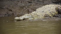 Palo Verde National Park And Liberia Combo Tour