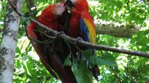 Palo Verde National Park Boat Tour