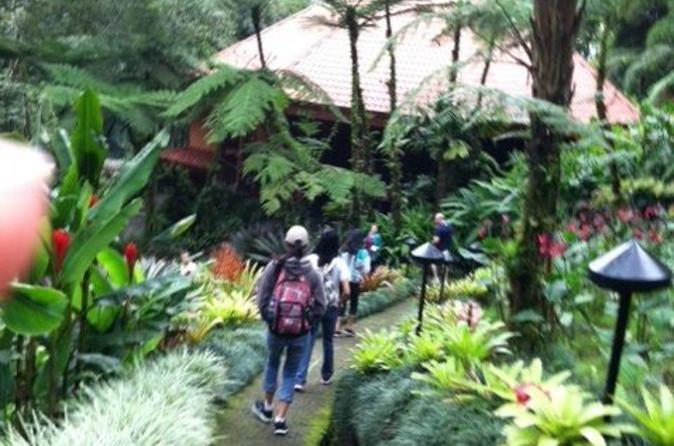Costa Rica Day Trip San José - Image 23