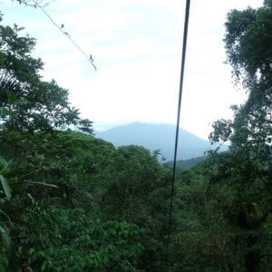 Rainforest Adventure Atlantic Aerial Tram Tour
