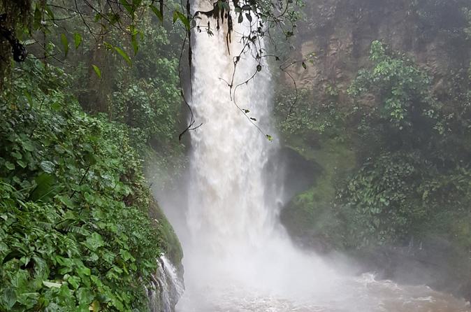 Costa Rica Day Trip San José - Image 2