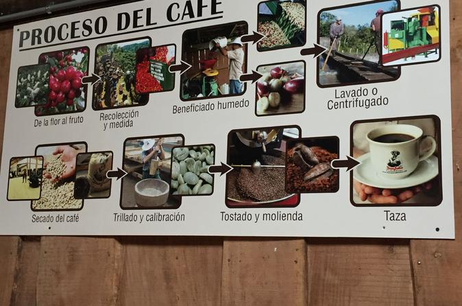 Coffee, Chocolate and Sugar Cane Tour in Monteverde - Image 2