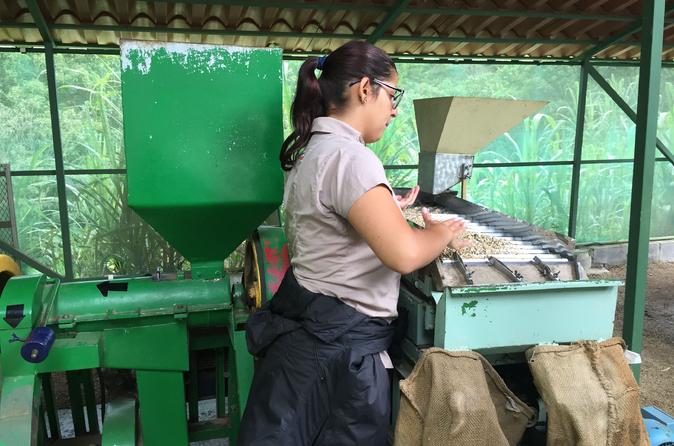 Coffee, Chocolate and Sugar Cane Tour in Monteverde - Image 3