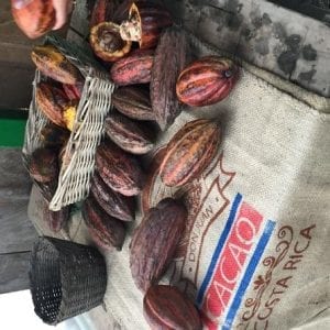 Coffee, Chocolate and Sugar Cane Tour in Monteverde