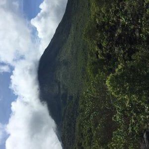 Arenal Volcano Hike Tour at the National Park