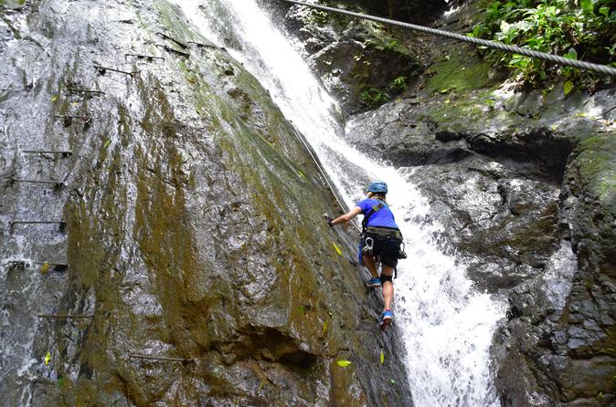 Rainforest Adventures Costa Rica Sky Bridge and Waterfall Climb Jacó