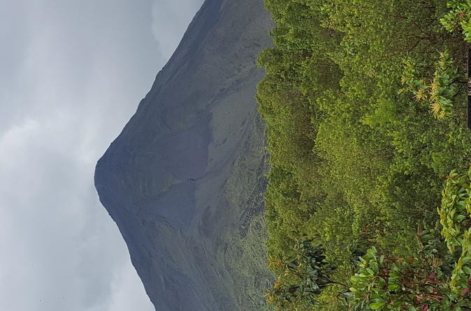 11-Day San José: Monteverde Cloud Forest and Tortuguero, Arenal Volcano and Ma - Image 7