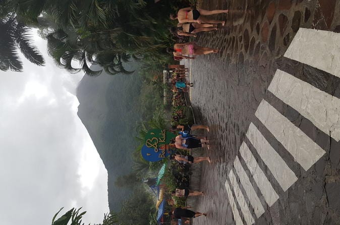 11-Day San José: Monteverde Cloud Forest and Tortuguero, Arenal Volcano and Ma - Image 8