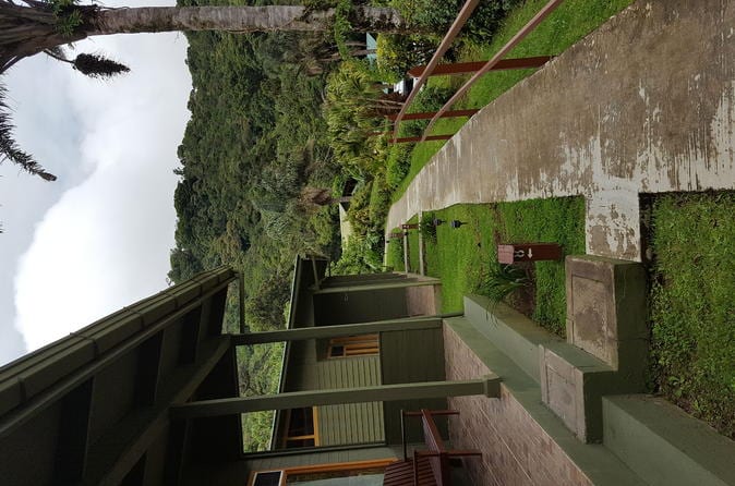 11-Day San José: Monteverde Cloud Forest and Tortuguero, Arenal Volcano and Ma - Image 9