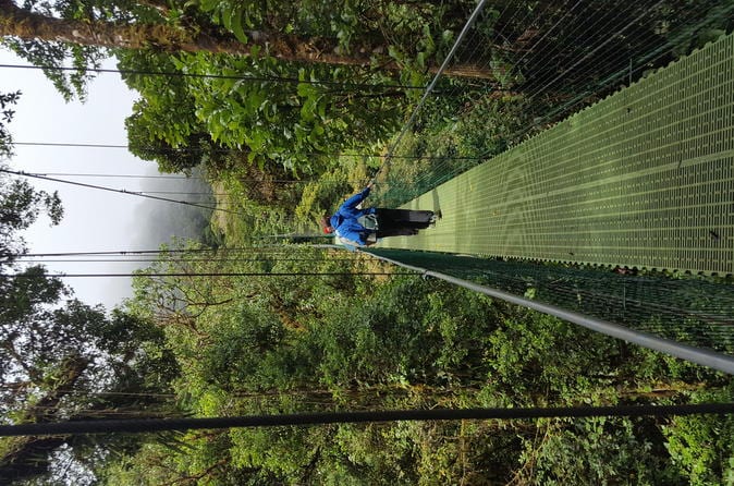 11-Day San José: Monteverde Cloud Forest and Tortuguero, Arenal Volcano and Ma - Image 10