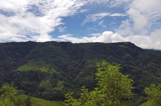 11-Day San José: Monteverde Cloud Forest and Tortuguero, Arenal Volcano and Ma - Image 11