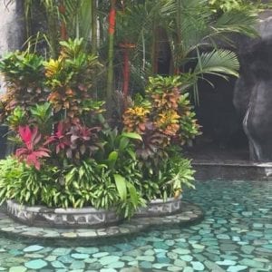 Combination Tour: Arenal Volcano and Baldi Hot Springs