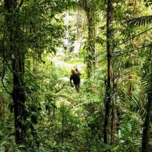 6-in-1 Tour: Rainforest Adventures Costa Rica