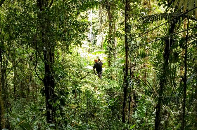6-in-1 Tour: Rainforest Adventures Costa Rica - Image 2