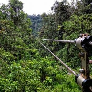 6-in-1 Tour: Rainforest Adventures Costa Rica