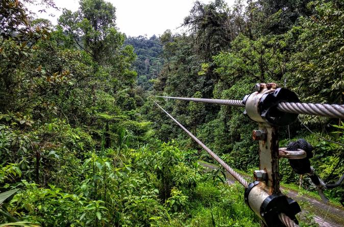 6-in-1 Tour: Rainforest Adventures Costa Rica - Image 4