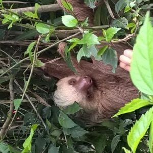 Tortuguero National Park