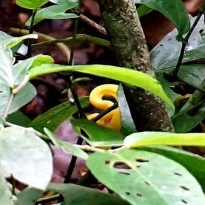 6-in-1 Combo Tour: Puerto Limón Highlights