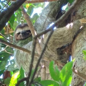 Half-Day Trip To Irazu Volcano And Cartago San José
