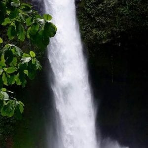 Hanging Bridges and La Fortuna Waterfall Nature Hike