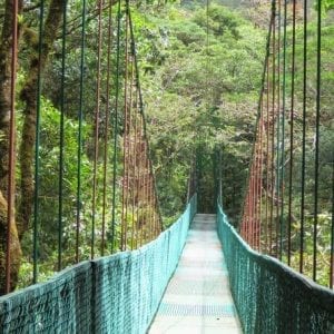 Selvatura Park Hanging Bridge Canopy Tour in Monteverde