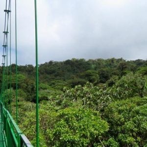 Selvatura Park Hanging Bridge Canopy Tour in Monteverde