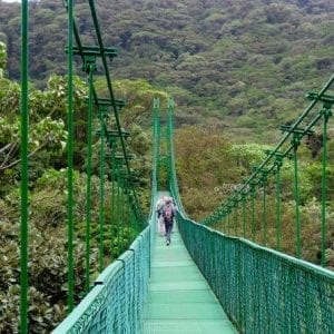 Selvatura Park Hanging Bridge Canopy Tour in Monteverde