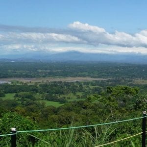 Rainforest Skywalk And Tarcoles River Eco Cruise Tour