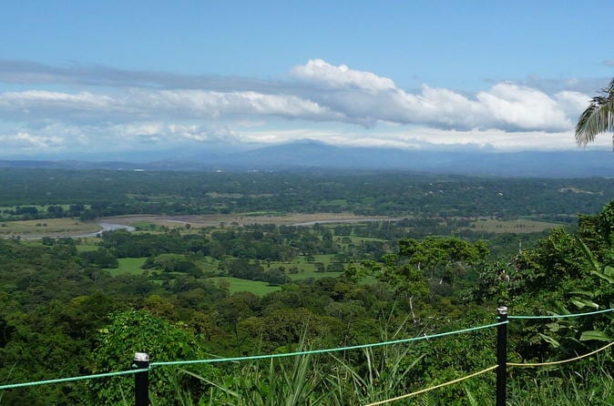 Rainforest Skywalk And Tarcoles River Eco Cruise Tour - Image 3