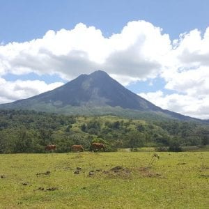 Arenal Volcano Full-Day Combo Tour with Lunch and Dinner