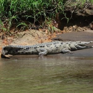 Tortuguero National Park