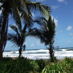 Tortuguero National Park