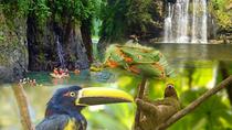Private Sloth Encounter Waterfall And Corobici Floating Tour
