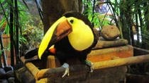 Private Tour to La Paz Waterfall Gardens with Lunch - Image 2