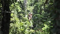 Puerto Viejo Jungle Adventure: Hiking, Rappelling, And Canopy Tour