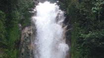 Río Celeste Waterfall Hike Arenal