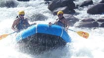 Rafting in the Sarapiqui River Class III - IV