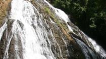 Rainforest Adventure Booze Cruise