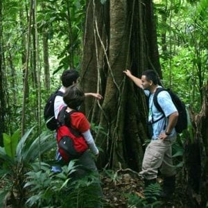 Rainforest Adventure San José